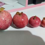 Doğal Sitrin Taşı(4’lü)