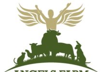 Angels Farm Mucizesi Gerçek Oldu !