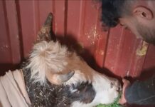 Yaralarını Birlikte Saracağız Güzel Çocuk..