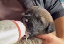 Sen de Hoşgeldin Süt Bebesi..