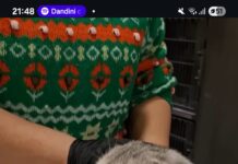 Takip ve Sözleşme Şartı ile Yuva Arıyoruz!